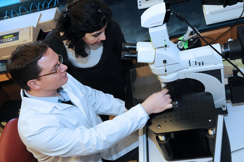 Study authors Connor and Lama Mulki, M.D., use a microscope in the Connor lab at Harvard Medical School. (Photo courtesy of Kip Connor)
